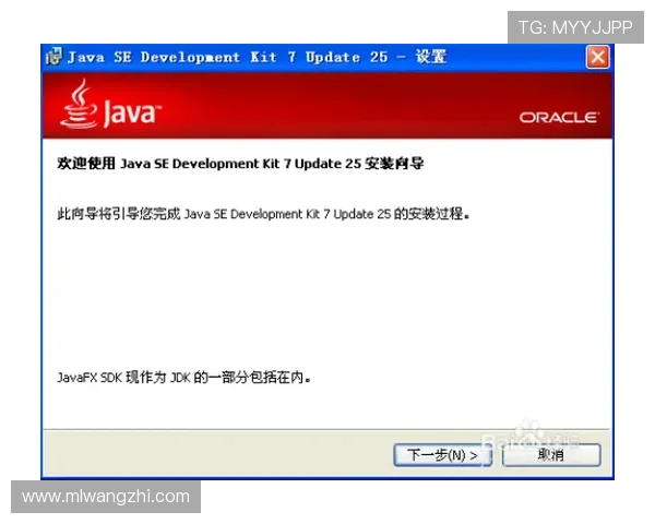 如何安全访问TS米兰官网入口，避免假冒网站的实用技巧和建议