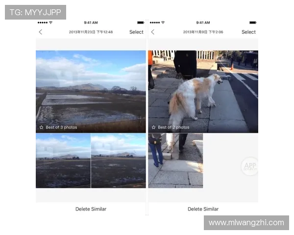 米兰app登录入口app常见问题及解决方案推荐 米兰app登录入口app常见问题及解决方案推荐