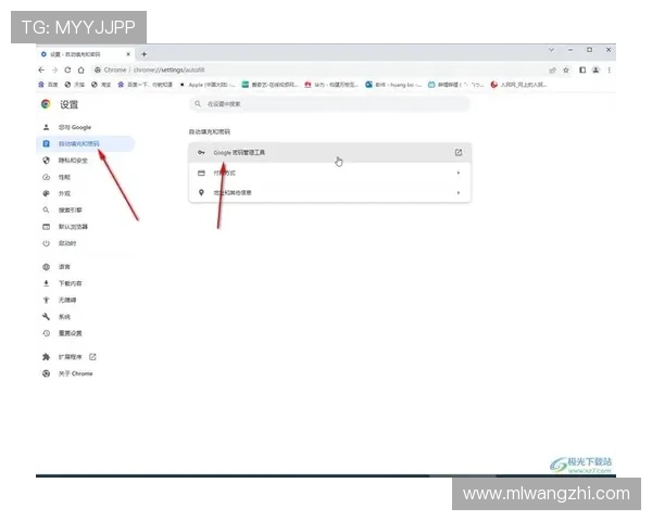 米兰体育官方网站登录成功后如何管理个人信息和账户设置