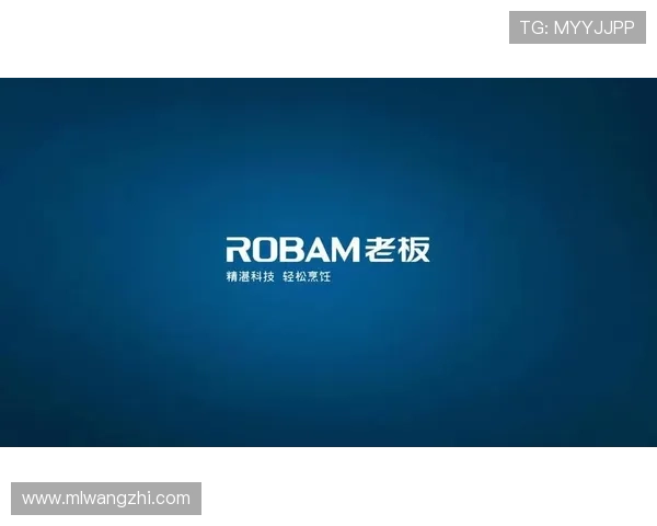 米兰官网手机版会员登录不上,影响用户体验的原因及优化建议 米兰官网手机版会员登录不上,影响用户体验的原因及优化建议