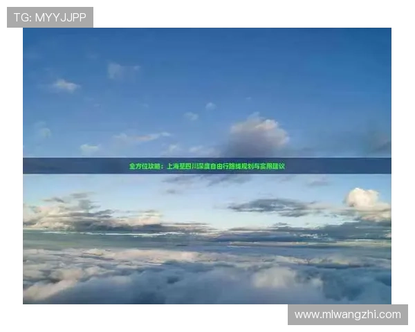 智博体育用户指南：注册流程、投注技巧与安全保障全方位解读与实用建议